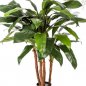 Preview: Cordyline Bush Tree 90cm 1006N