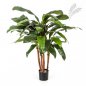 Preview: Cordyline Bush Tree 90cm 1006N