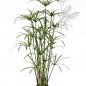 Preview: Royal Papyrus Plant 125cm 1030N