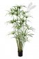 Preview: Royal Papyrus Plant 155cm 1030XL