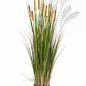 Preview: CATTAIL GRASS W/BROWN FL 1042B