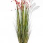 Preview: CORAL GRASS W/RED FLOWERS 1046R