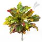 Preview: Croton Leaf Bush X 35 Lvs 55cm 1072N