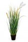 Preview: FOXTAIL WILD GRASS W/FL 60cm 1103N-060