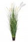 Preview: FOXTAIL WILD GRASS W/FL 175cm 1103N-175