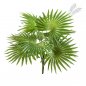 Preview: FAN PALM BUSH X 10 LVS 1114N