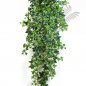 Preview: VAR. IVY HANGING BUSH X 18 1137V