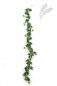 Preview: Green Ivy Garland 180cm 1139N