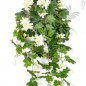 Preview: GERANIUM CASCADE HANGING BUSH 1151CR