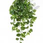 Preview: Pothos Hanging Bush X 232 85cm 1193N