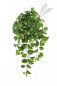 Preview: Pothos Hanging Bush X 232 85cm 1193N