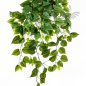 Preview: Philo Hanging Bush X 232 85cm 1194N