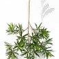 Preview: NEW PODOCARPUS SPRAY 66 CM 1218L