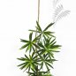 Preview: NEW PODOCARPUS SPRAY 53 CM 1218M