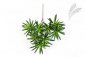Preview: PODOCARPUS SPRAY 1220N
