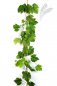 Preview: NATURAL GRAPE LEAF GARLAND 1292N