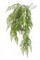 Preview: WOOD FERN HANGING BUSH 1303N