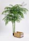 Preview: ARECA PALM DE LUXE X 2 1336N