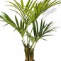 Preview: NATURAL KENTIA PALM 110cm 1341N