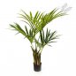 Preview: NATURAL KENTIA PALM 110cm 1341N