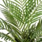 Preview: 80 cm Forest Areca Palm 80cm 1380N