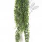 Preview: BOSTON FERN HANGING BUSH 100 1400X