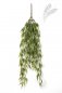 Preview: BAMBOO HANGING BUSH 60 CM 1402N