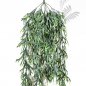 Preview: Staghorn Hanging Vine Bush 80cm 1419N