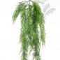 Preview: Asparagus Hanging Vine 75cm 1421N