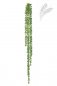 Preview: STRING OF PEARLS HANGING BUSH 1424N