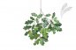 Preview: Common oak spray with fruits 60cm 1598N