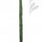 Preview: CEREUS COLUMN CACTUS 180 CM 1833N