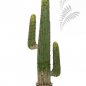 Preview: MEXICAN CACTUS 125 CM 1838N