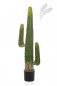Preview: MEXICAN CACTUS 125 CM 1838N