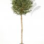 Preview: NATURAL OLIVE BALL TREE 140cm 27705N