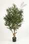Preview: NAT. TWISTED OLIVE TREE W/F 120cm 28204N