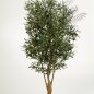 Preview: NAT. TWISTED OLIVE TREE W/F 150cm 28205N