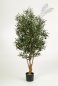 Preview: NAT. TWISTED OLIVE TREE W/F 150cm 28205N