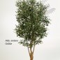 Preview: NAT. TWISTED OLIVE TREE W/F 180cm 28206N