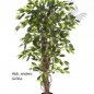 Preview: FICUS LIANA 120cm 30504N