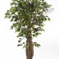 Preview: FICUS LIANA DE LUXE 180cm 31506N