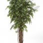 Preview: FRENCH FICUS LIANA DE LUXE 210cm 31607N