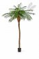 Preview: PHOENIX PALM TREE 225cm 33007N
