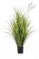 Preview: PLASTIC REED GRASS 110cm 33304N