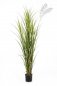 Preview: PLASTIC REED GRASS 165cm 33305N