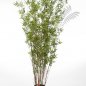Preview: ORIENTAL BAMBOO TREE 190cm 34206N
