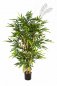 Preview: FR NEW BAMBOO TREE 34605FR