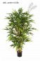 Preview: FR NEW BAMBOO TREE 34606FR