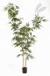 Preview: NEW BAMBOO ELEGANT TREE 34909N