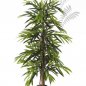 Preview: FR DELUXE LONGIFOLIA TREE 35805FR